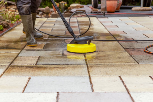 Best Dumpster Area Cleaning  in Rochester, IL