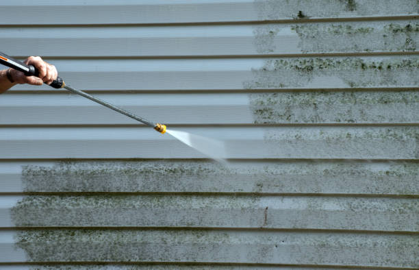 Animal Enclosure Cleaning in Rochester, IL